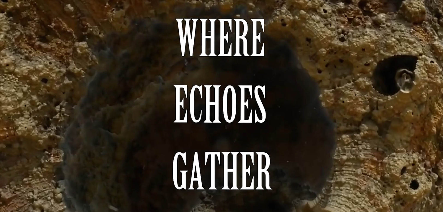 COMMUNIC: "Where Echoes Gather" lyric videos!