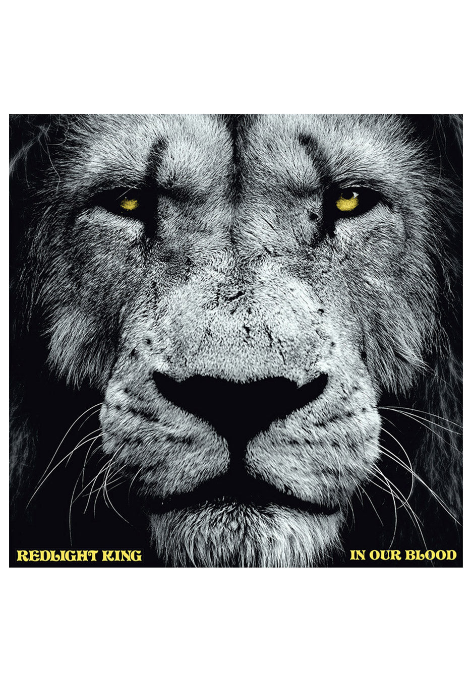 Redlight King - In Our Blood - Digipak CD | Neutral-Image